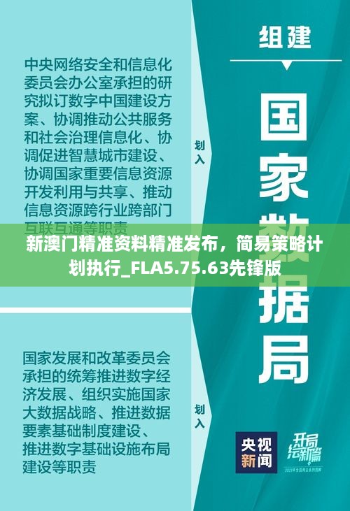 新澳門精準資料精準發(fā)布，簡易策略計劃執(zhí)行_FLA5.75.63先鋒版