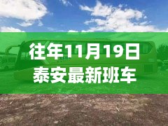 泰安最新班車司機招聘，探尋自然美景之旅，啟程心靈寧靜之旅的啟程點
