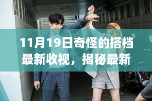 揭秘最新收視數(shù)據(jù)，掌握如何查看與分析奇怪搭檔收視報(bào)告全攻略