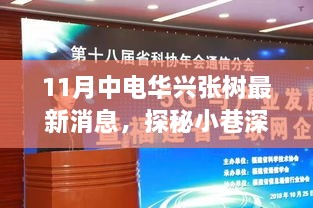 探秘華興張樹，小巷深處的獨(dú)特風(fēng)味與最新消息揭秘