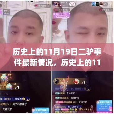 歷史上的11月19日二驢事件最新解讀與探討，最新情況一覽