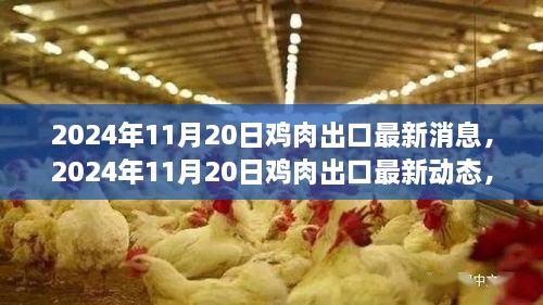 全球雞肉出口最新動態(tài)，市場需求與產(chǎn)業(yè)趨勢分析