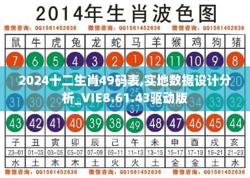 2024十二生肖49碼表,實(shí)地?cái)?shù)據(jù)設(shè)計(jì)分析_VIE8.61.43驅(qū)動(dòng)版