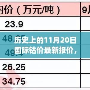 特別日子揭秘，鈷價(jià)背后的故事，11月20日國(guó)際鈷價(jià)最新動(dòng)態(tài)