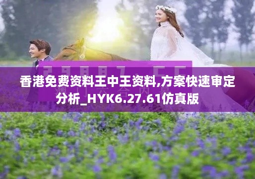 香港免費資料王中王資料,方案快速審定分析_HYK6.27.61仿真版