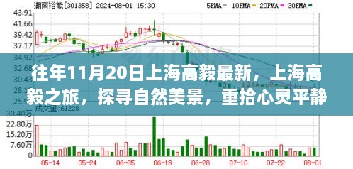 上海高毅之旅，探尋自然美景，心靈平靜之旅的啟示