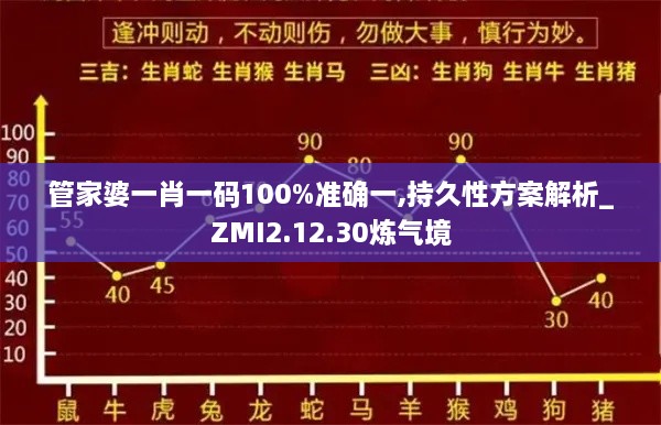 管家婆一肖一碼100%準確一,持久性方案解析_ZMI2.12.30煉氣境