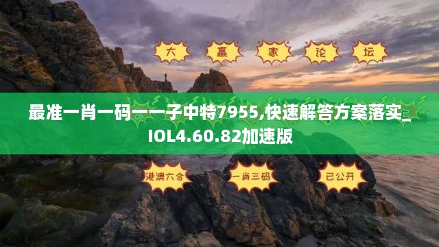 最準一肖一碼一一子中特7955,快速解答方案落實_IOL4.60.82加速版