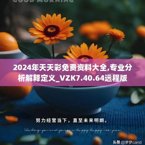 2024年天天彩免費資料大全,專業(yè)分析解釋定義_VZK7.40.64遠(yuǎn)程版