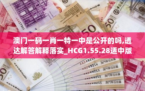 澳門一碼一肖一特一中是公開的嗎,透達(dá)解答解釋落實(shí)_HCG1.55.28適中版