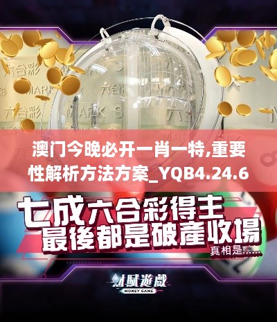 澳門今晚必開一肖一特,重要性解析方法方案_YQB4.24.67創(chuàng)新版