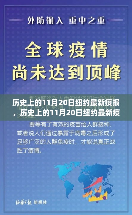 紐約歷史上的11月20日最新疫情報(bào)告，疫情發(fā)展與防控進(jìn)展概述