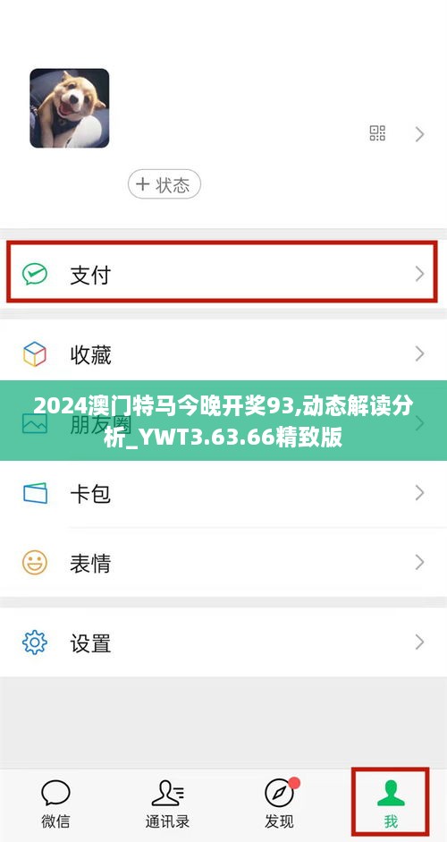 2024澳門(mén)特馬今晚開(kāi)獎(jiǎng)93,動(dòng)態(tài)解讀分析_YWT3.63.66精致版