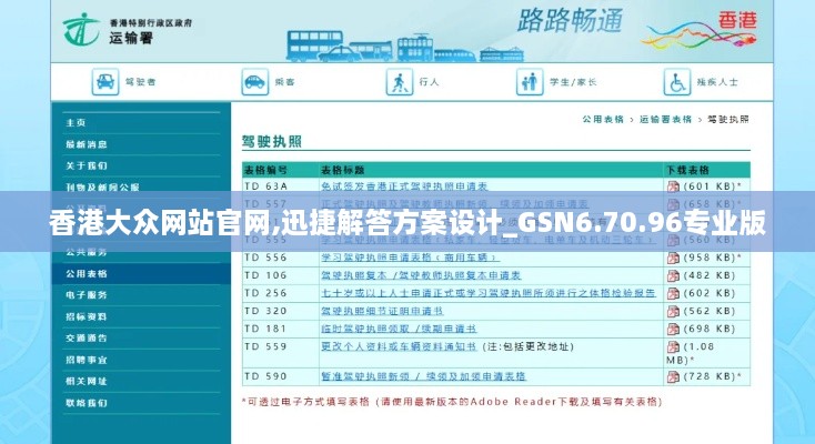 香港大眾網站官網,迅捷解答方案設計_GSN6.70.96專業(yè)版