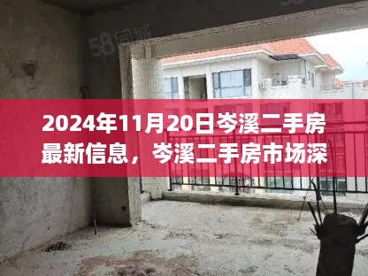 2024年11月20日岑溪二手房市場(chǎng)深度解析與最新信息全面評(píng)測(cè)