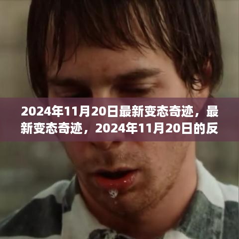 2024年11月20日最新變態(tài)奇跡反思與觀點(diǎn)碰撞