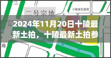 2024年11月20日十陵最新土拍全流程詳解與參與指南，初學(xué)者與進(jìn)階用戶必讀