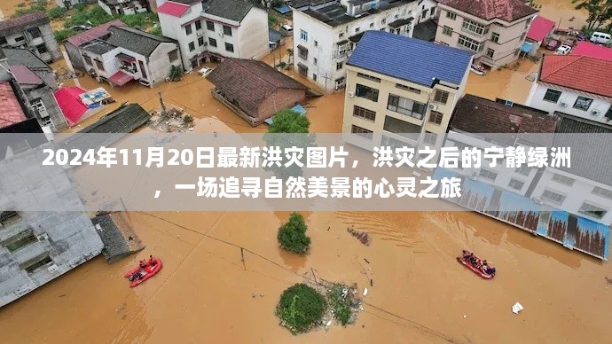洪災(zāi)后的寧靜綠洲，追尋自然美景的心靈之旅（最新洪災(zāi)圖片報道）