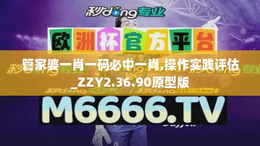 管家婆一肖一碼必中一肖,操作實踐評估_ZZY2.36.90原型版
