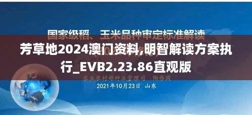 芳草地2024澳門資料,明智解讀方案執(zhí)行_EVB2.23.86直觀版