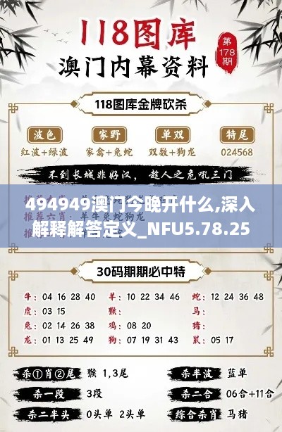 494949澳門今晚開什么,深入解釋解答定義_NFU5.78.25風(fēng)尚版