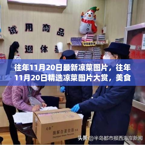 精選涼菜圖片大賞，美食與視覺的雙重盛宴——?dú)v年11月20日涼菜美圖回顧