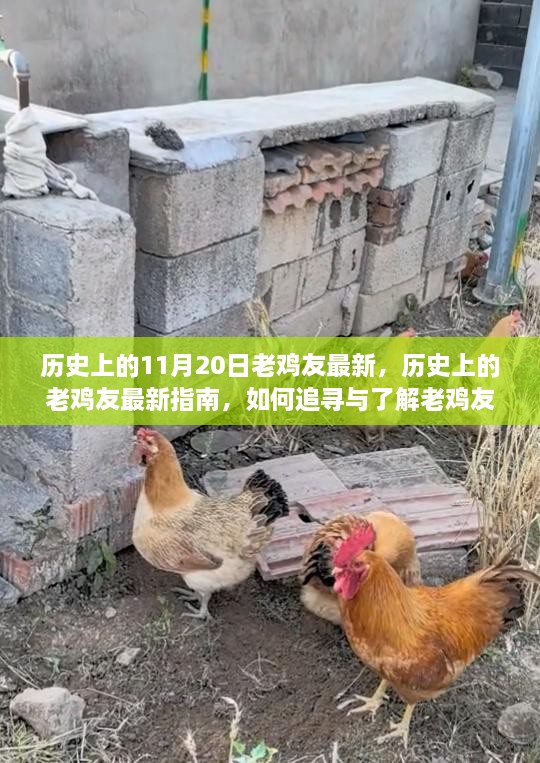 2024年11月21日 第36頁
