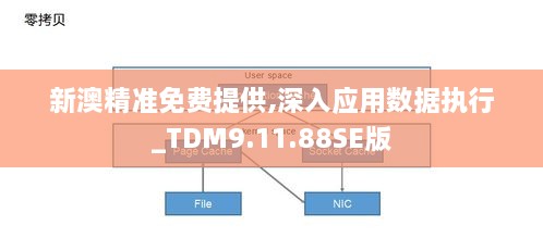 2024年11月21日 第29頁