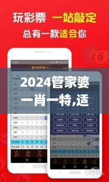 2024年11月21日 第28頁