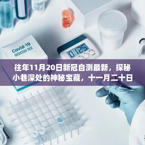 探秘神秘寶藏，十一月二十日新冠自測最新發(fā)現(xiàn)之旅