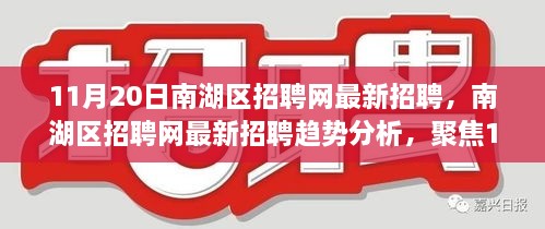 南湖區(qū)招聘網(wǎng)最新招聘趨勢聚焦，11月20日數(shù)據(jù)分析及其影響