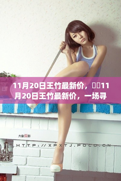 11月20日王竹最新價，竹林探秘之旅，尋找內(nèi)心平靜之旅