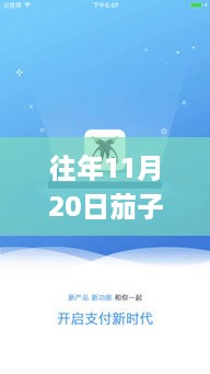 往年11月20日茄子app最新版下載，探索法律風(fēng)險(xiǎn)與應(yīng)用挑戰(zhàn)