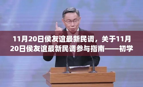 初學(xué)者與進(jìn)階用戶指南，侯友誼最新民調(diào)參與詳解
