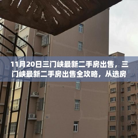 2024年11月21日 第21頁