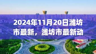 濰坊市最新動(dòng)態(tài)聚焦，三大要點(diǎn)揭秘于2024年11月20日