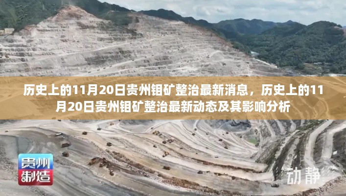 歷史上的11月20日貴州鉬礦整治動態(tài)及其影響分析，最新消息與動態(tài)回顧