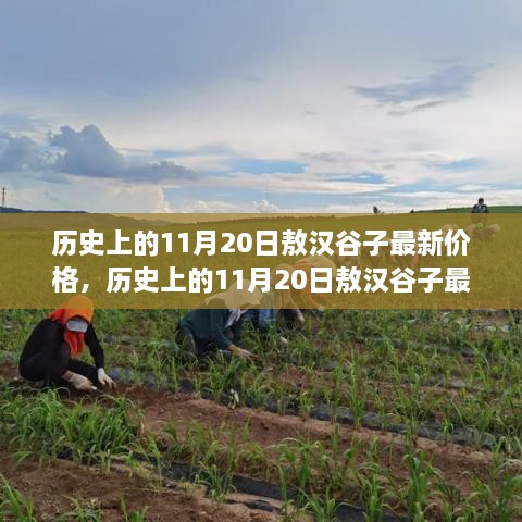 歷史上的敖漢谷子價格深度評測與介紹，最新價格回顧及深度分析（11月20日）