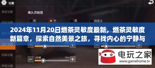 燃茶靈敏度新篇章，探索自然美景之旅，尋找內(nèi)心寧靜與平和的旅程（2024年11月20日最新資訊）