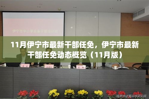 伊寧市最新干部任免動態(tài)發(fā)布（11月版）