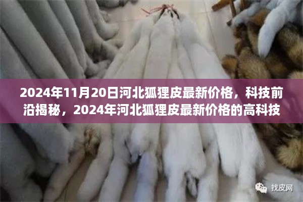 揭秘河北狐貍皮最新價(jià)格與科技革新皮革制品的超凡體驗(yàn)