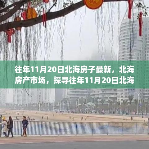 往年11月20日北海房產(chǎn)市場深度觀察，最新動(dòng)態(tài)與深層影響分析