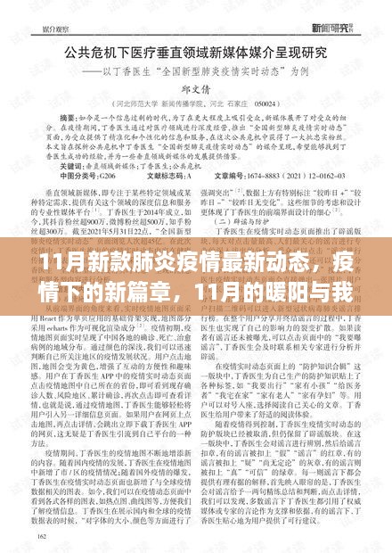 11月肺炎疫情最新動(dòng)態(tài)，暖陽(yáng)下的抗疫新篇章與我們的故事