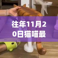 革命性突破，貓喵智能新破解版重塑生活體驗(yàn)