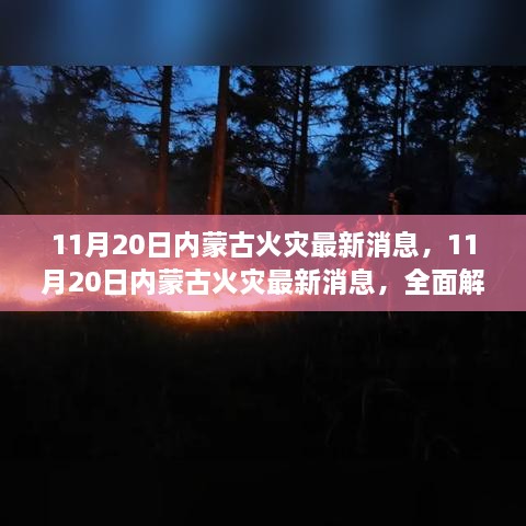 2024年11月21日 第8頁(yè)