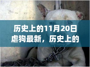 歷史上的11月20日，從虐狗到自信的心靈蛻變之路
