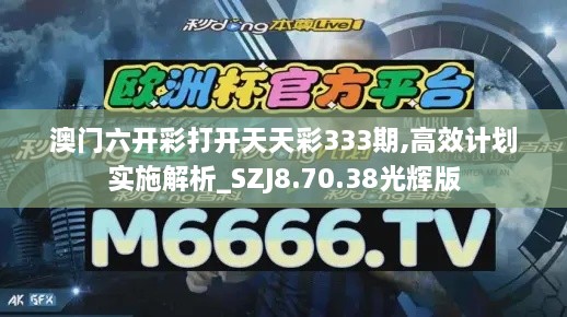 澳門六開彩打開天天彩333期,高效計劃實施解析_SZJ8.70.38光輝版