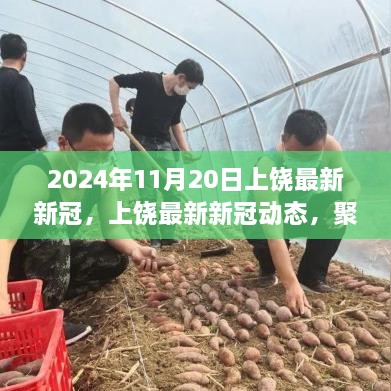 聚焦解讀，2024年11月20日上饒最新新冠動態(tài)