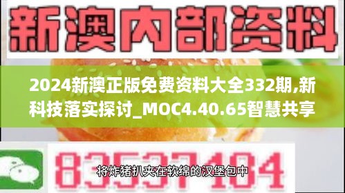 2024新澳正版免費資料大全332期,新科技落實探討_MOC4.40.65智慧共享版