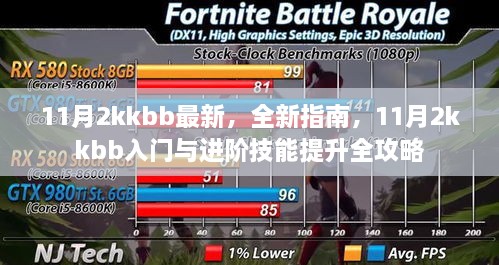 11月2kkbb全新指南與技能提升全攻略，入門到進階